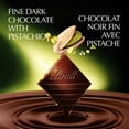 thumbnail image 2 of Lindt EXCELLENCE Pistachio Dark Chocolate Bar, 100g, 2 of 14