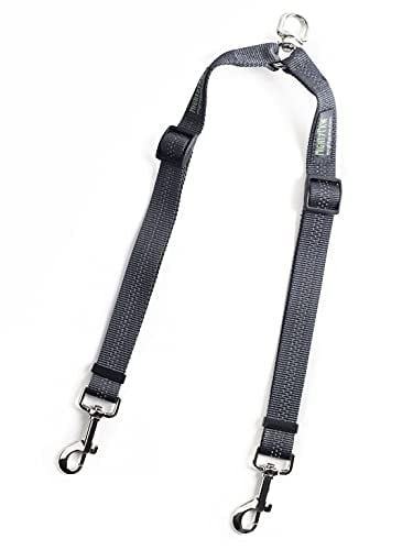 small dog double leash