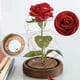 thumbnail image 4 of Rosa de La Bella y la Bestia, Rosa Eterna y Luz LED bajo Cúpula de Vidrio Rosa Artificial sobre Base de Madera para Decoración de Boda Aniversario Navidad Día de la Madre Regalo de Boda Rojo, 4 of 5