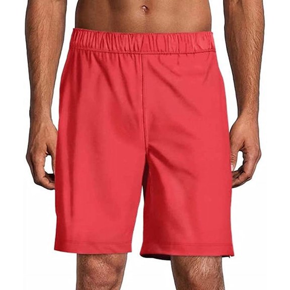 Speedo Mens Hydro Volley Swim Shorts (Bittersweet, X-Large 36/38)