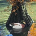 thumbnail image 1 of TEHAUX American Waterfowl Duck Hunting Sign Collection Map Floating Pond Duck Statue Resin Multi 1 PCS, 1 of 6