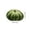 Green, variant on Thanksgiving Pumpkin Shaped Welcome Doormat, Non-Slip Absorbent Entryway Rug Bathroom Floor Mat for Front Door Porch Kitchen Fall Home Decor