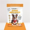 thumbnail image 1 of TruHealth Pet Shine Skin + Coat Supplement Soft-Chews for Dogs, 90 Count Bag, 8 oz., 1 of 10