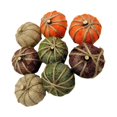 thumbnail image 1 of Artesanía realista decorativa de calabaza artificial para decoración de acción de gracias de mesa , cuadros B- Cuadros Soledad calabaza de simulación, 1 of 10