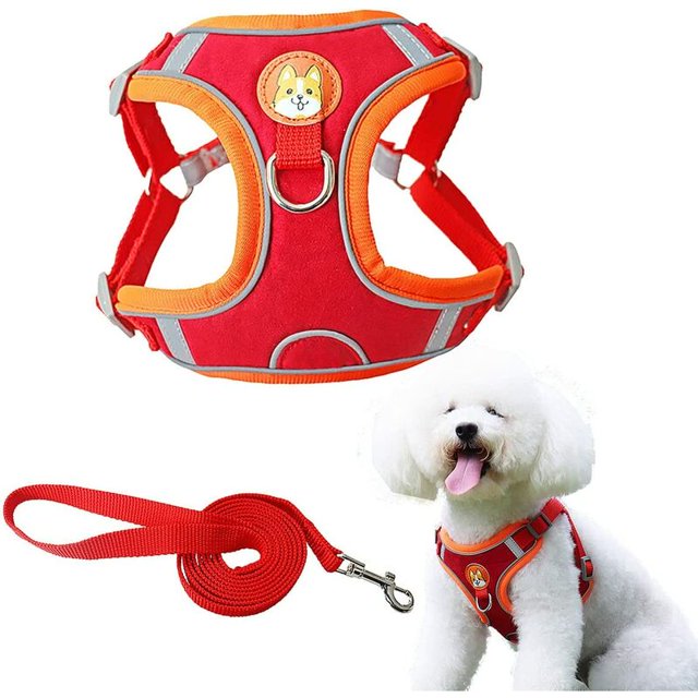 Arnés para perros Arnés para caminar ajustable Arnés para el pecho transpirable, suave y acolchado reflectante para perros pequeños, medianos, gatos y mascotas—BR-Life (M, rojo) esquí esquí Gafas de esquí