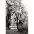 thumbnail image 3 of Styber, Dana 11x14 Black Modern Framed Museum Art Print Titled - Baker Lake Trail I, 3 of 5