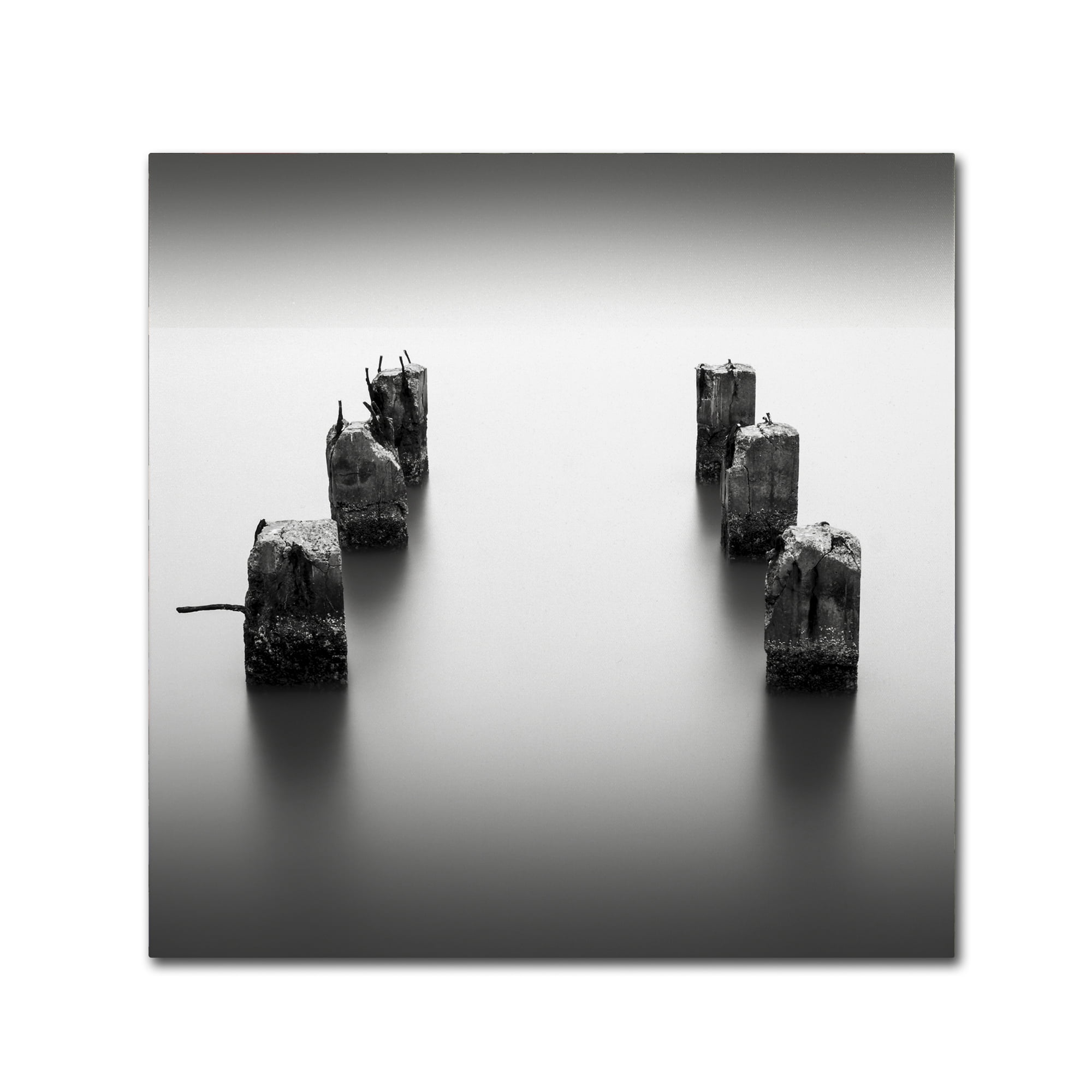 Trademark Fine Art Dave MacVicar 'Pillars' 14 x 14 (ALI0845-C1414GG)