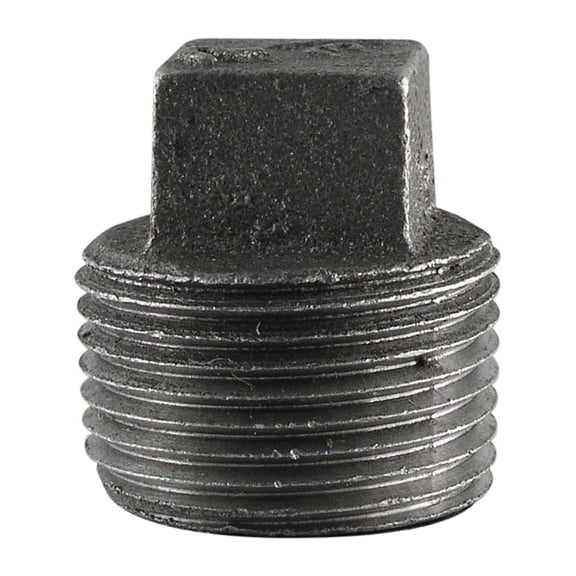 STZ Industries 1-1/4 in. MIP each Black Malleable Iron Plug