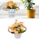 thumbnail image 4 of Artificial Potted Plant, Silk Flower Artificial Daisy Pot Beautiful Exquisite For Woman For Gardens ANGGREK Otros, 4 of 8