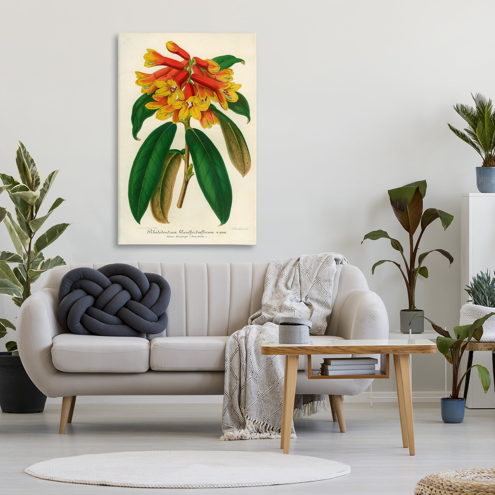 Stupell Industries Orange Yellow Rhododendron Canvas Wall Art, design by Print Collection