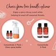 thumbnail image 2 of Plant Therapy Germ Fighter Blend Multi-Surface Cleaner Concentrate 30 mL (2-Pack) with Orange Bottle, 2 of 7
