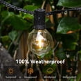 thumbnail image 3 of Foco Vintage Led 15m Luces Decorativas Con 25 Focos Led Pamolo, 3 of 6