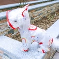 thumbnail image 3 of Comfortable Pet Raincoat - Waterproof Full Body Coverage Transparent Rain Jacket - Perfect for Outdoor Adventures, 3 of 8