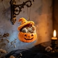 thumbnail image 7 of HonstMatter Halloween Ornament, Cute Sleeping Animal In Pumpkin With Witch Hat, Hanging Decor For Tree And Shelf Display, 7 of 7
