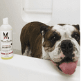 thumbnail image 5 of Oatmeal Shampoo - Cherry Scented - Professional Size, 5 of 7