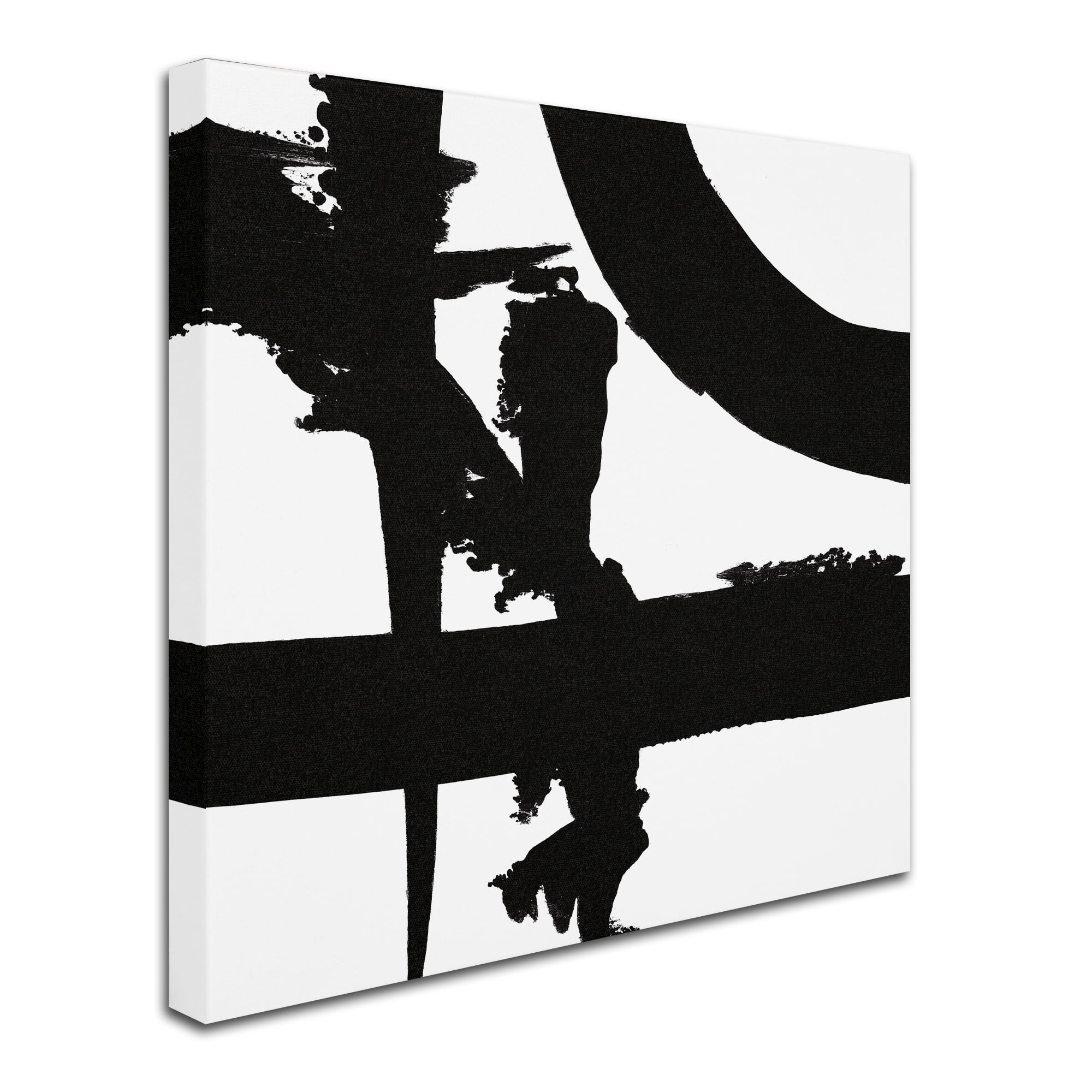 Trademark Fine Art 'Crossing Paths II' Canvas Art by Sarah Adams