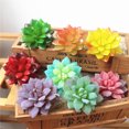 thumbnail image 3 of 4PCS Artificial Succulent Lifelike Lotus Fake Succulent Fake Plant for Home, 3 of 9