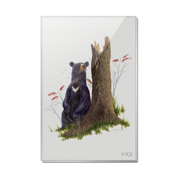 Bear Sitting by Tree Rectangle Acrylic Fridge Refrigerator Magnet