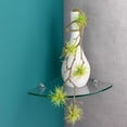 thumbnail image 3 of Dolle Shelving 10" x 10" Clear Glass Corner Shelf Kit with Two Jam Satin Chrome Bracket, 3 of 4