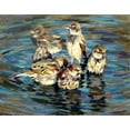 thumbnail image 2 of Pautov, Igor 18x15 White Modern Wood Framed Museum Art Print Titled - Reflection, 2 of 4