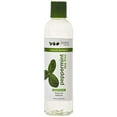 thumbnail image 1 of Eden-ABS Peppermint Tea Tree Shampoo 8 oz., 1 of 5