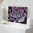 thumbnail image 4 of HFDF Canvas Prt Wall Art Closeup of Bloomg Purple Desert Succulent Floral Plants Photography Realism Rustic Colorful Ultra for Livg Room, Bedroom, Office - 16x12inch Framed, 4 of 6