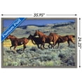 thumbnail image 3 of Animals - Horses Running on the Planes Wall Poster, 22.375" x 34", Framed, 3 of 3