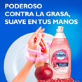 thumbnail image 4 of Detergente Líquido para Platos Dawn Ultra Suave 479 ml, 4 of 5
