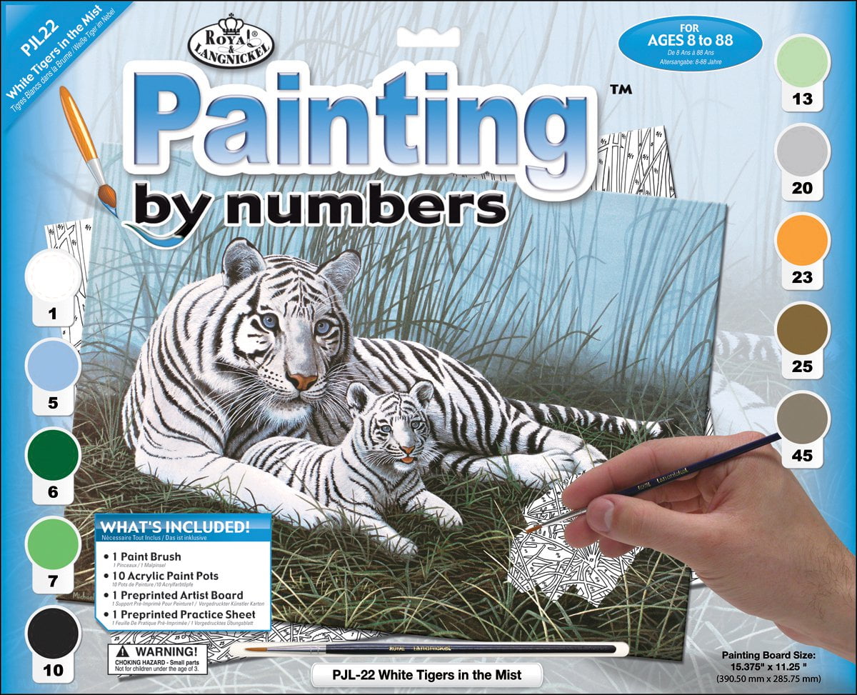 Paint By Number Kit 15.375/"X11.25/"-Mystical Moonlight