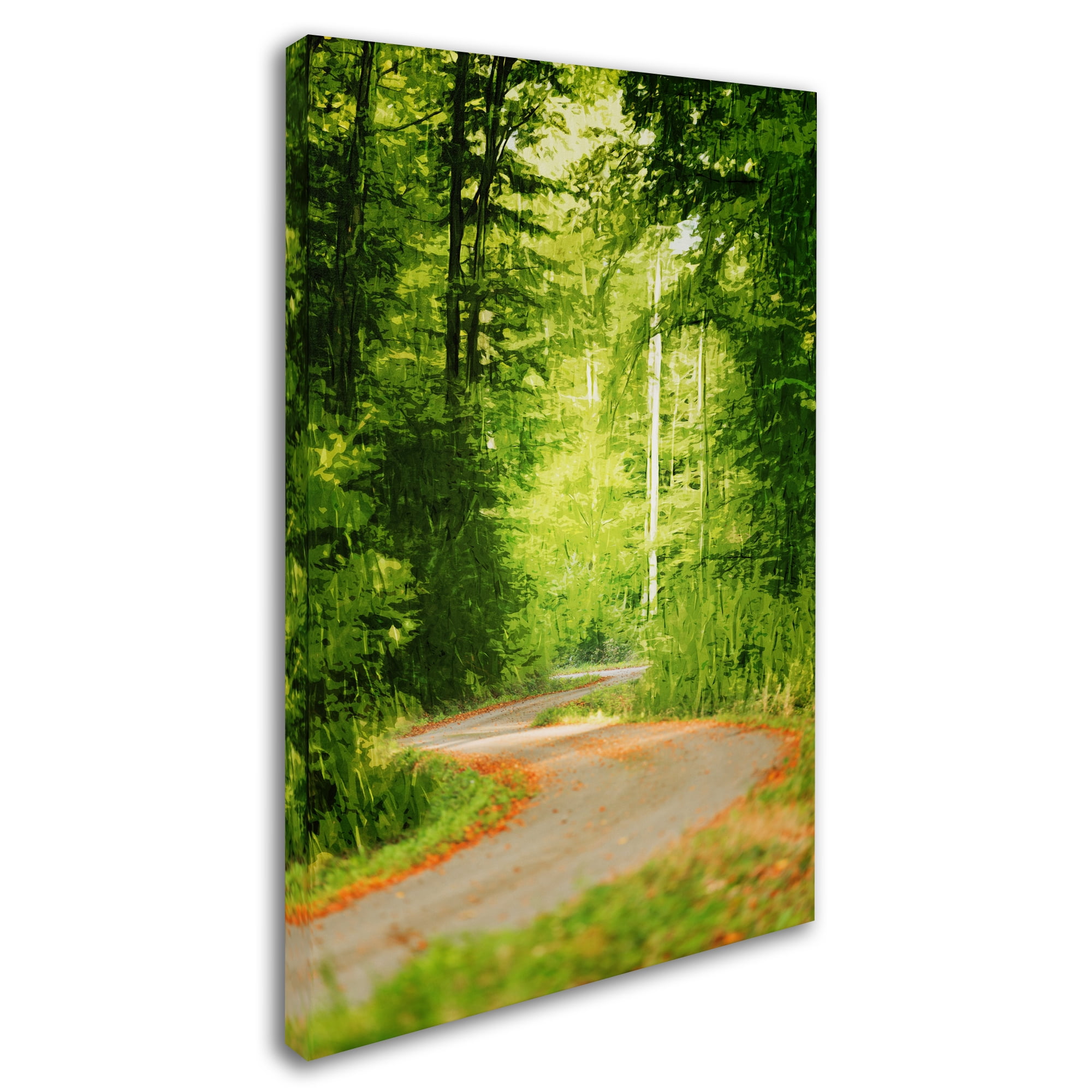 Trademark Fine Art "S Road" Canvas Art by Philippe Sainte-Laudy