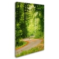 thumbnail image 2 of Trademark Fine Art "S Road" Canvas Art by Philippe Sainte-Laudy, 2 of 3