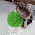 thumbnail image 2 of Comedero de catnip miwoowim con forma de cara de gato, cepillo de aseo, 2 of 6