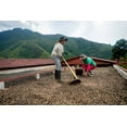 thumbnail image 6 of Homestead Coffee Co. - 100% Columbian Roast - Gourmet Coffee, 6 of 6