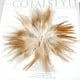 thumbnail image 5 of 50x Minion Rooster Feather 4-6 pulgadas / 10-15 cm para sombrerería artesanal, 5 of 9