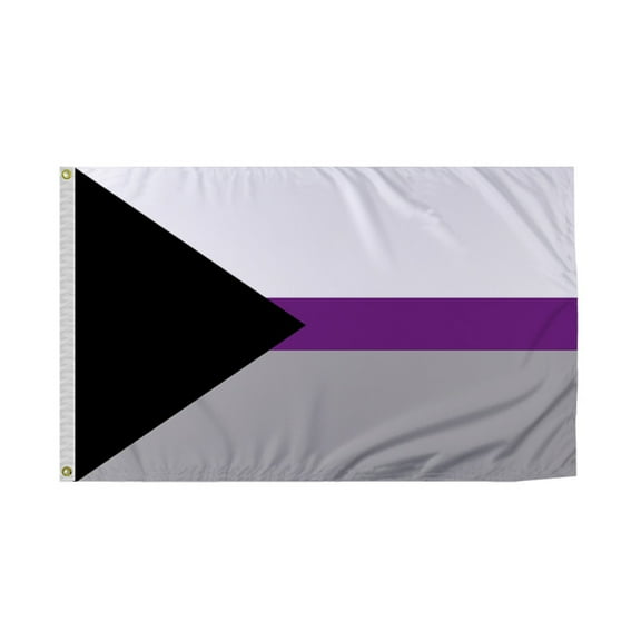 Promopatriot Demisexual Pride Flag 3x5 Ft Printed 200D Nylon Brass Grommets Stitched Edges Fade Proof Sharp Colors - Pride Lgbtq Flag 3x5 Fts