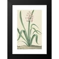 thumbnail image 2 of Jan Augustini 16x24 Black Modern Framed Museum Art Print Titled - The Roze Blue King of Rivers (1762), 2 of 5