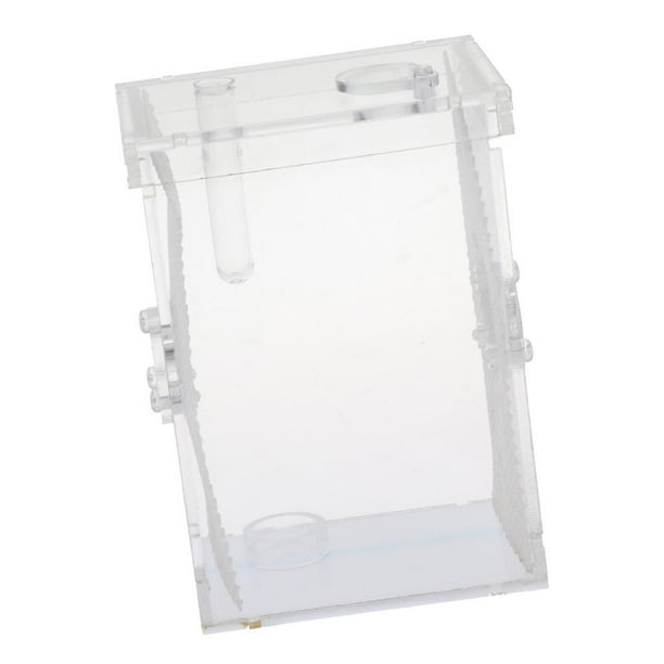 Caja de transporte para alimentación y cría de reptiles pequeños (tamaño grande) L