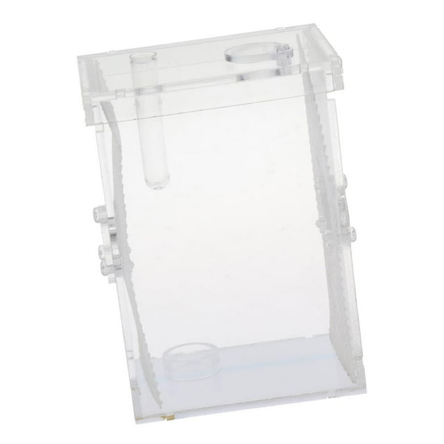 Esquirla Boîte de Transport pour Petits Reptiles Élevage Alimentation - L L