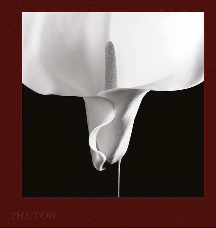 Mapplethorpe Flora The Complete Flowers (Hardcover