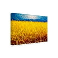 thumbnail image 2 of Trademark Fine Art 'Homage to Van Gogh 1' Canvas Art by John Nolan, 2 of 3