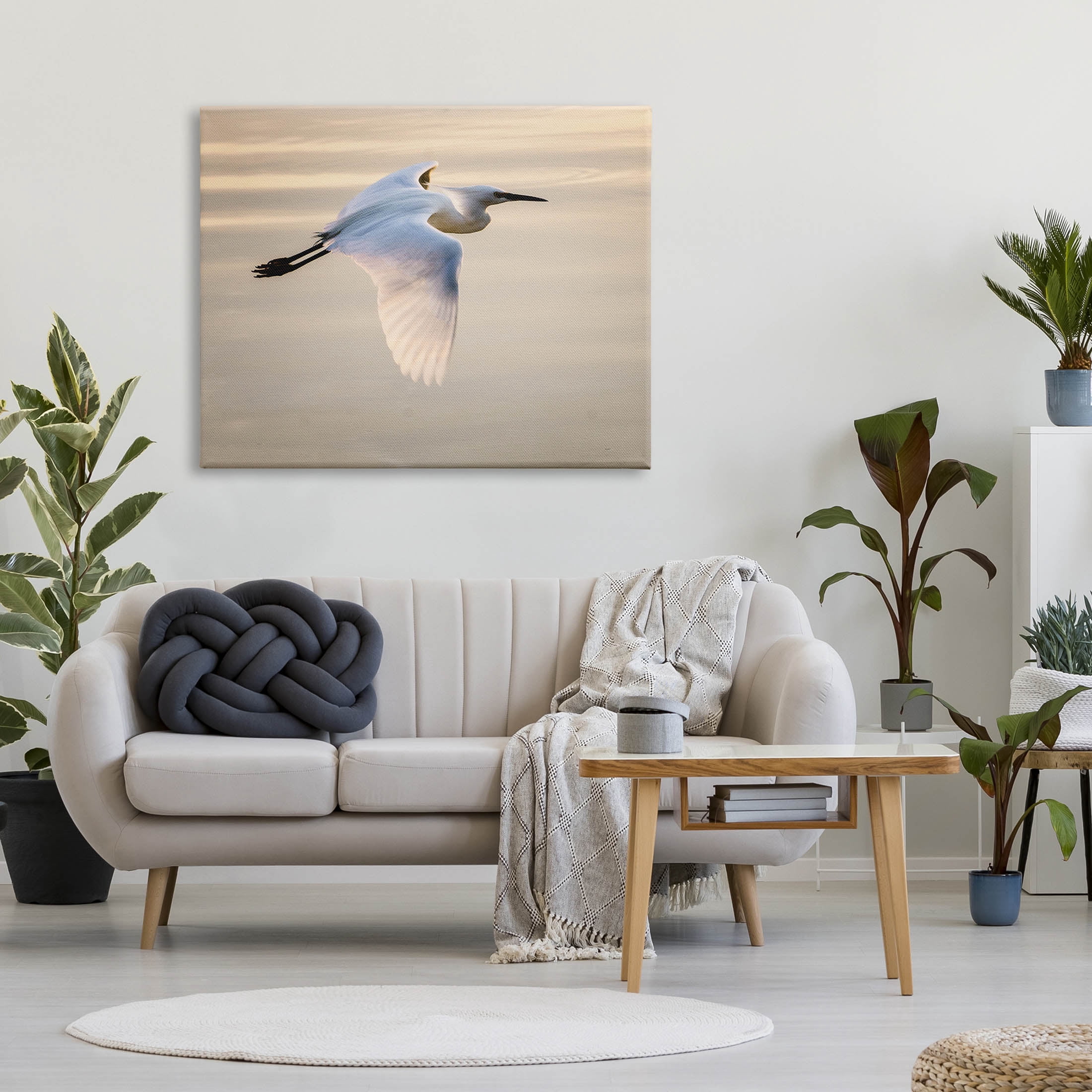 Egret Gliding Aerial View Animals & Insects Photograph Gallery Wrapped Canvas Print Wall Art