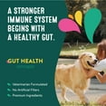 thumbnail image 5 of Probiotics for Dogs | Happy Go Healthy Prebiotic & Probiotic Dog Supplement with Ginger Root, Icelandic Seaweed, and Organic Kelp | All Breeds and Sizes | 60 Count, 5 of 6