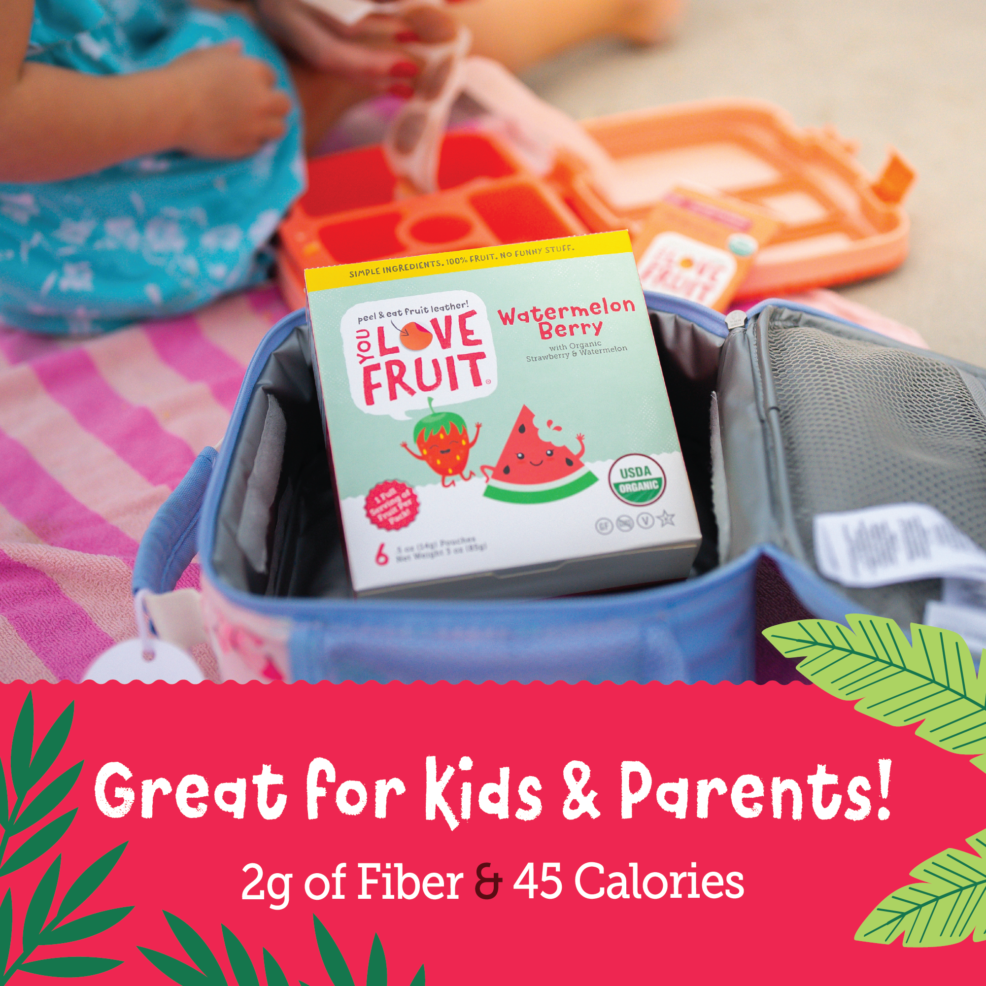 YOU LOVE FRUIT - Fruit Snacks Variety Pack 30 count 100% Natural Gluten-Free Vegan Low Carb Low Fat Fruit Kosher Snacks for Kids College Students Teachers and Offices Healthy