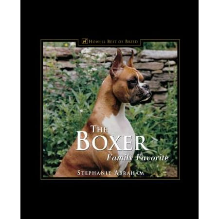 The Boxer : Family Favorite (Best Cat Breeds For Young Families)