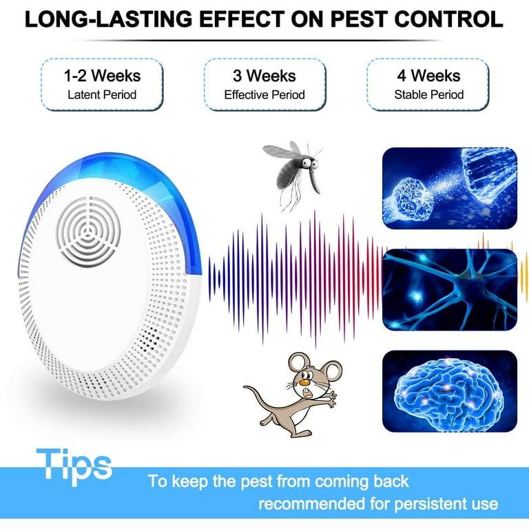 Bed Bug Heat Treatment