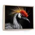 thumbnail image 2 of Designart "Beauty Among Crowded Cranes in Africa I" Animals Floater Framed Wall Art Print, 2 of 7