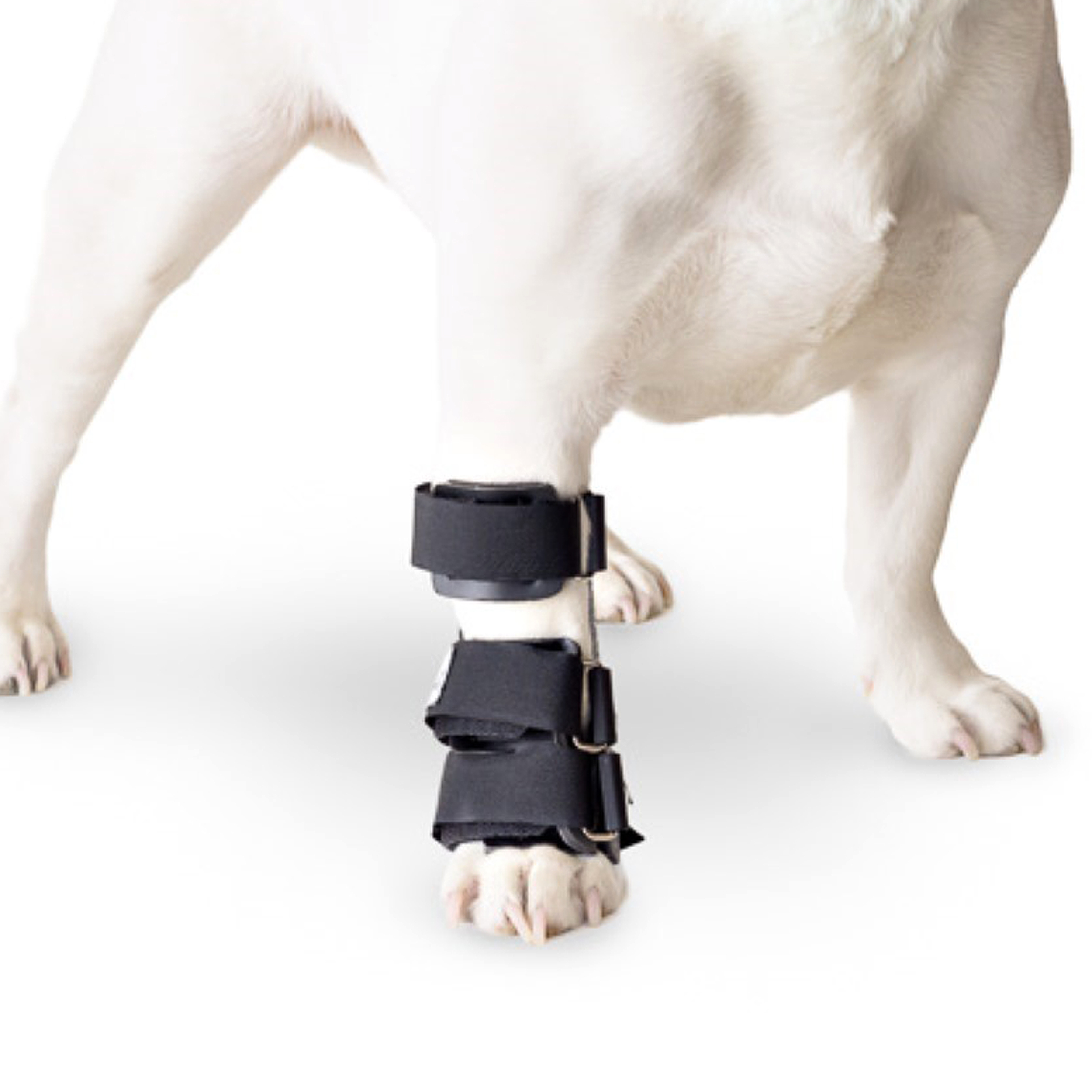 Pet Splint for Dogs Dog Carpal Foot Splint For Dogs with Arthritis