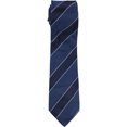 thumbnail image 1 of Tasso Elba - Corbata de seda con rayas Fiore para hombre, azul, talla única, 1 of 1
