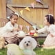thumbnail image 5 of Falda para perros pequeños | Ropa de Pascua estilo princesa | Vestido suave y cómodo para todo tipo de clima | Ropa de casa verde, gris y blanca para cachorros | Traje de verano ligero y transpirable, 5 of 5