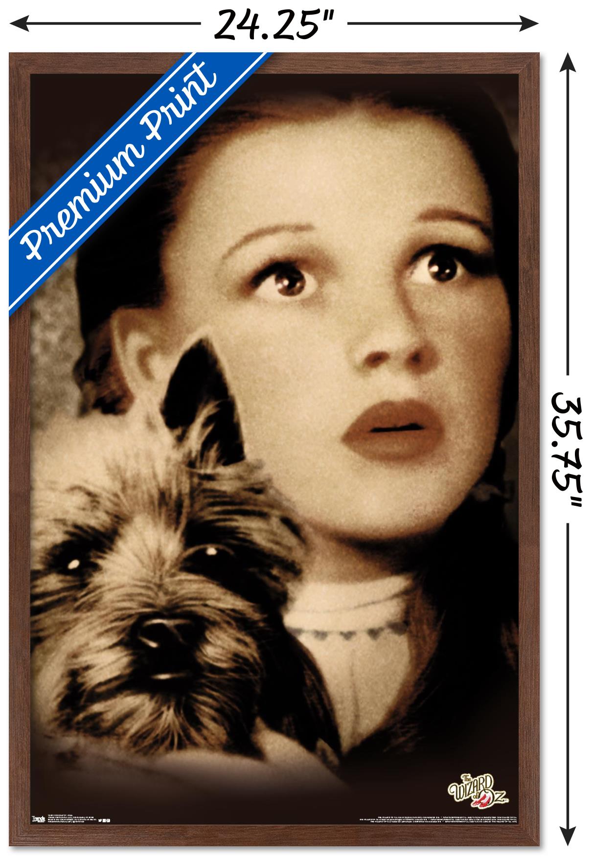 The Wizard Of Oz - Duo Wall Poster, 22.375" x 34", Framed